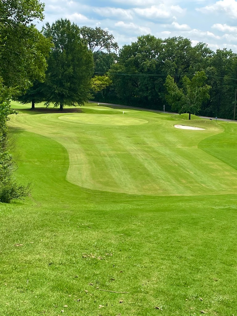Panoramic view of a lush green golf course at VinnyLinks Golf Course. Smooth
