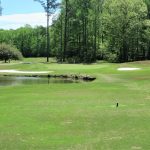 green grass with the flag in the hole.