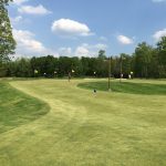 green grass with the flag in the hole.