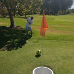 green grass with the flag in the hole.