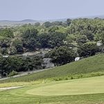 green grass with the flag in the hole.
