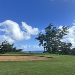 green grass with the flag in the hole.