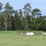 green grass with the flag in the hole.