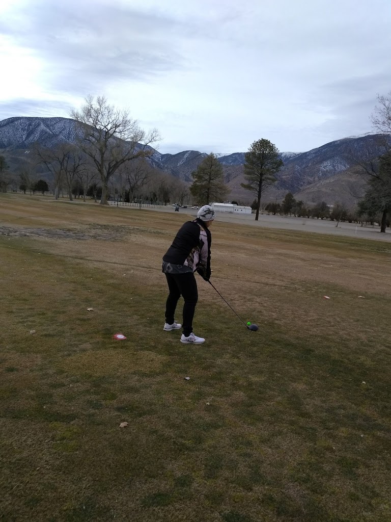 green grass with the flag in the hole.