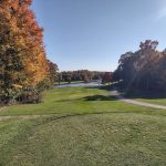green grass with the flag in the hole.