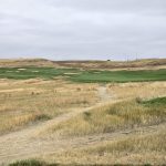 green grass with the flag in the hole.