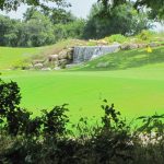 Panoramic view of a lush green golf course at Waterchase Golf Club. Smooth