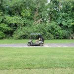 green grass with the flag in the hole.