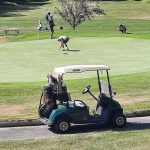 green grass with the flag in the hole.