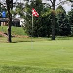 green grass with the flag in the hole.