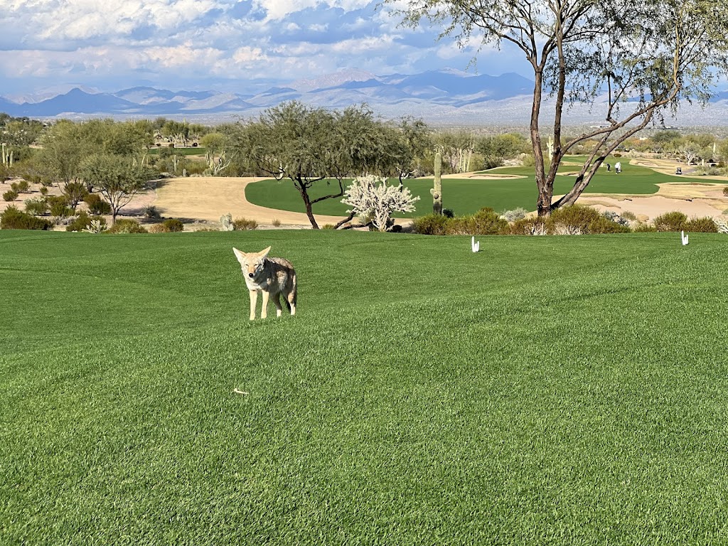 Panoramic view of a lush green golf course at We-Ko-Pa Golf Club. Smooth