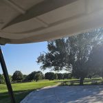 green grass with the flag in the hole.
