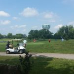 green grass with the flag in the hole.