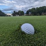 Panoramic view of a lush green golf course at Wellington Greens Golf Course. Smooth