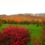 Panoramic view of a lush green golf course at West Bolton Golf Club. Smooth