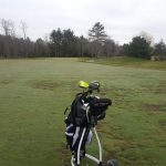 green grass with the flag in the hole.