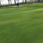 green grass with the flag in the hole.