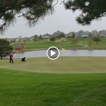 green grass with the flag in the hole.