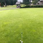 green grass with the flag in the hole.