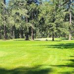 Panoramic view of a lush green golf course at Whispering Firs Golf Course. Smooth