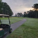 green grass with the flag in the hole.