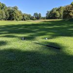 green grass with the flag in the hole.