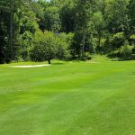 Panoramic view of a lush green golf course at Whitepath Golf Club. Smooth