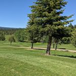 Panoramic view of a lush green golf course at Whitetail Golf Club. Smooth
