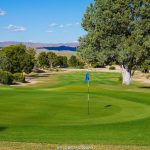 green grass with the flag in the hole.