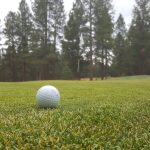 green grass with the flag in the hole.