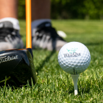 Panoramic view of a lush green golf course at Wild Oak Golf Course. Smooth