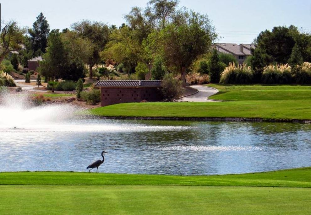 Panoramic view of a lush green golf course at Wildhorse Golf Club. Smooth
