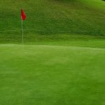 green grass with the flag in the hole.