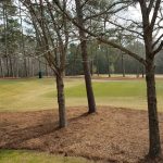 Panoramic view of a lush green golf course at Willow Point Golf Course. Smooth