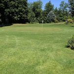 green grass with the flag in the hole.