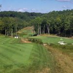 green grass with the flag in the hole.