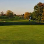 green grass with the flag in the hole.