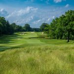 green grass with the flag in the hole.