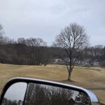 green grass with the flag in the hole.