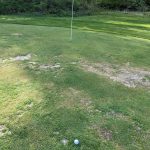 green grass with the flag in the hole.