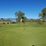 green grass with the flag in the hole.