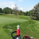 green grass with the flag in the hole.